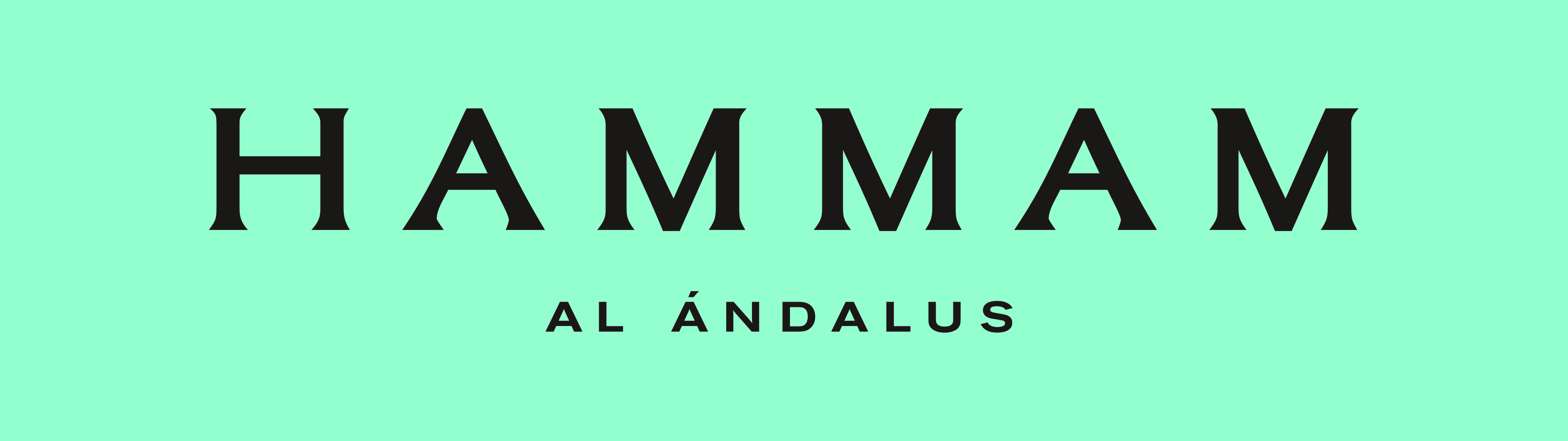 Hammam Al Ándalus