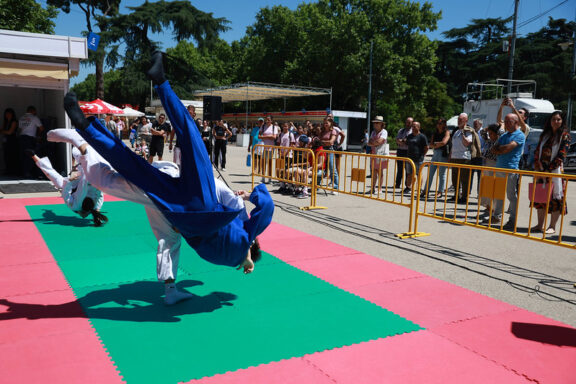 Exhibición de judo en la FLMadrid24